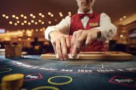 5guys Casino en Vivo